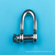 Stainless Steel D Shackle